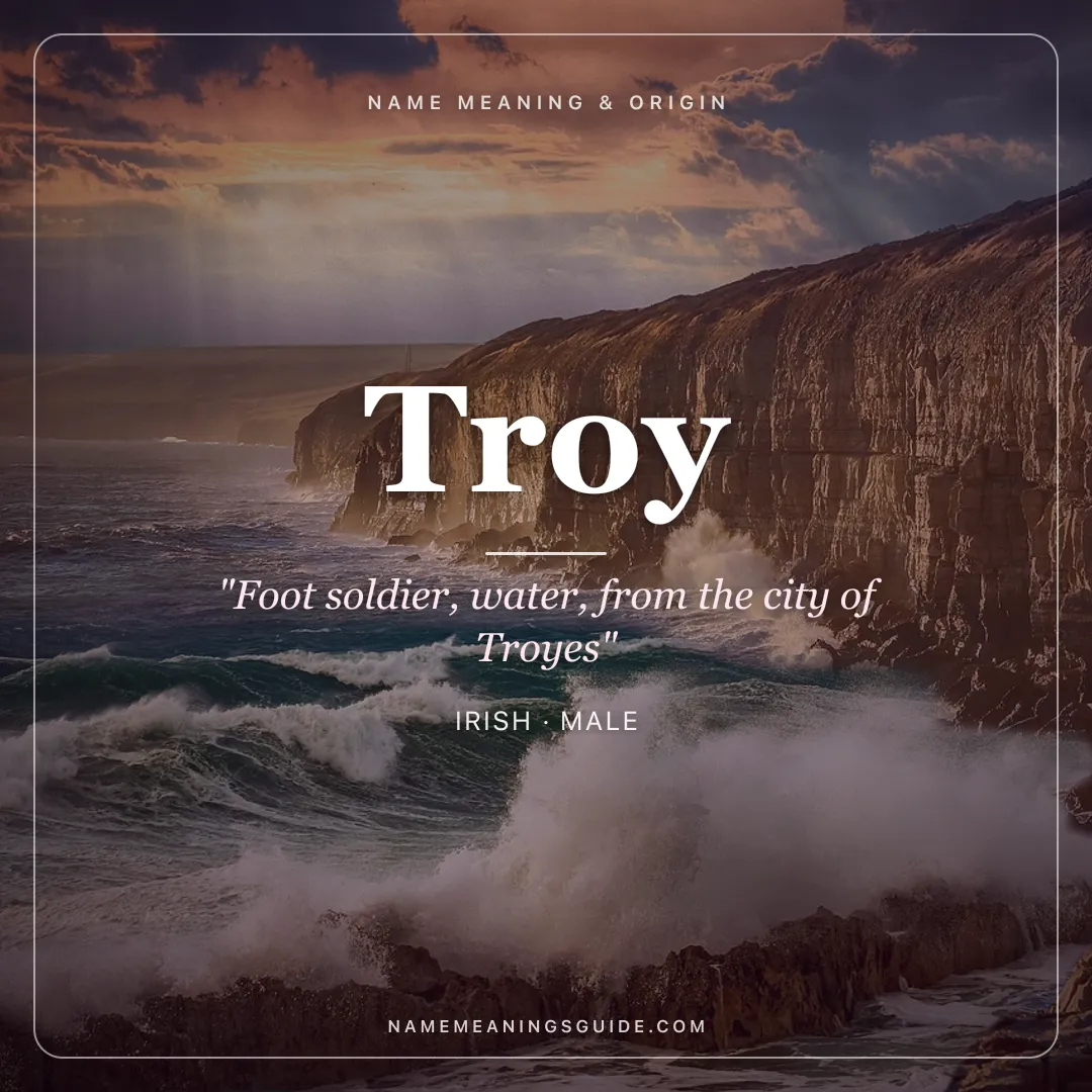 Troy name meaning "Foot soldier, water, from the city of Troyes" - Irish, French, Greek male name share card | NameMeanings