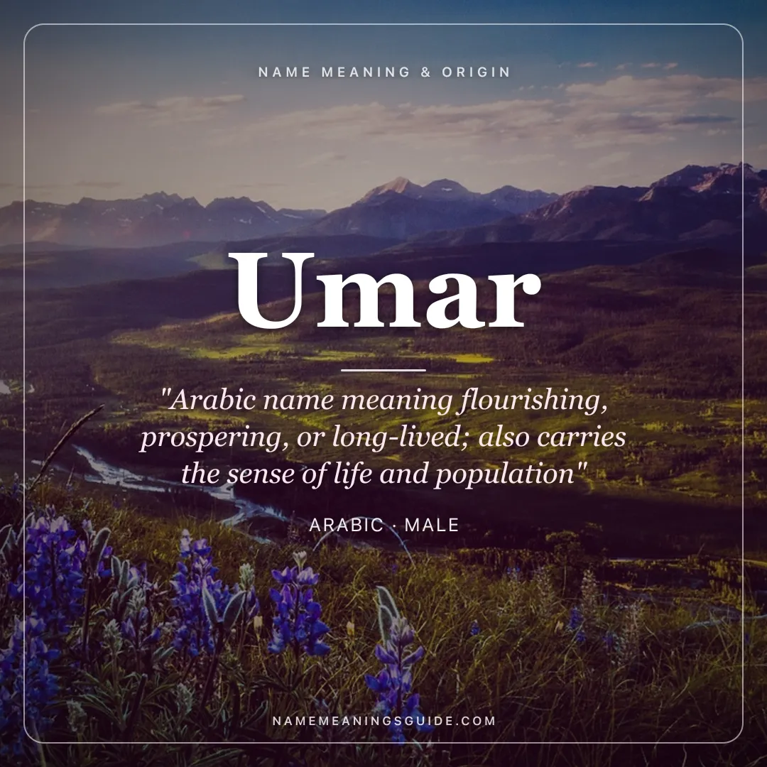 Umar name meaning "Arabic name meaning flourishing, prospering, or long-lived; also carries the sense of life and population" - Arabic male name share card | NameMeanings