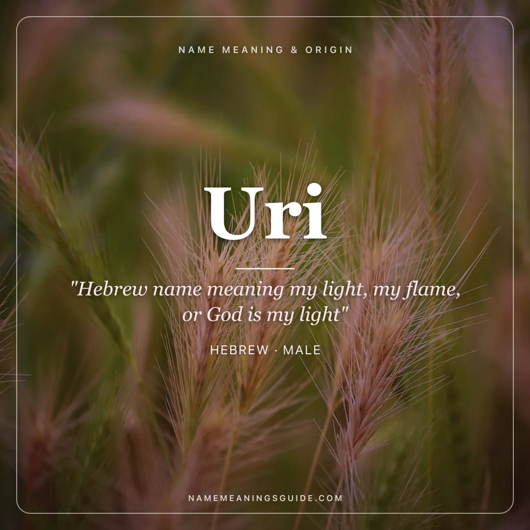 Uri name meaning "Hebrew name meaning my light, my flame, or God is my light" - Hebrew male name share card | NameMeanings