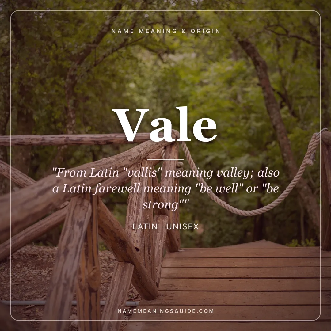 Vale name meaning "From Latin "vallis" meaning valley; also a Latin farewell meaning "be well" or "be strong"" - Latin unisex name share card | NameMeanings