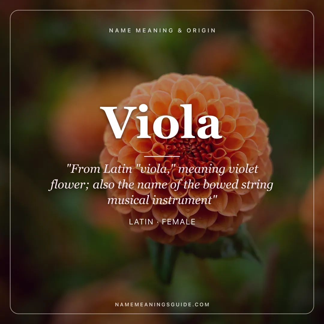Viola name meaning "From Latin "viola," meaning violet flower; also the name of the bowed string musical instrument" - Latin female name share card | NameMeanings