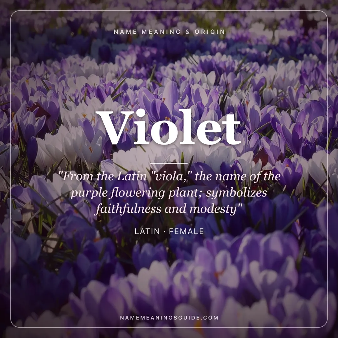 Violet name meaning "From the Latin "viola," the name of the purple flowering plant; symbolizes faithfulness and modesty" - Latin female name share card | NameMeanings