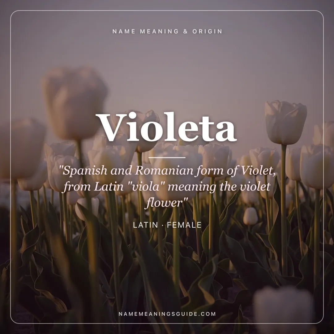 Violeta name meaning "Spanish and Romanian form of Violet, from Latin "viola" meaning the violet flower" - Latin female name share card | NameMeanings