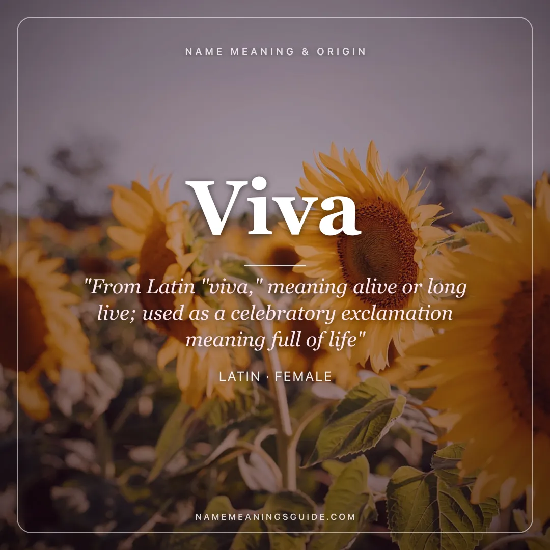 Viva name meaning "From Latin "viva," meaning alive or long live; used as a celebratory exclamation meaning full of life" - Latin female name share card | NameMeanings