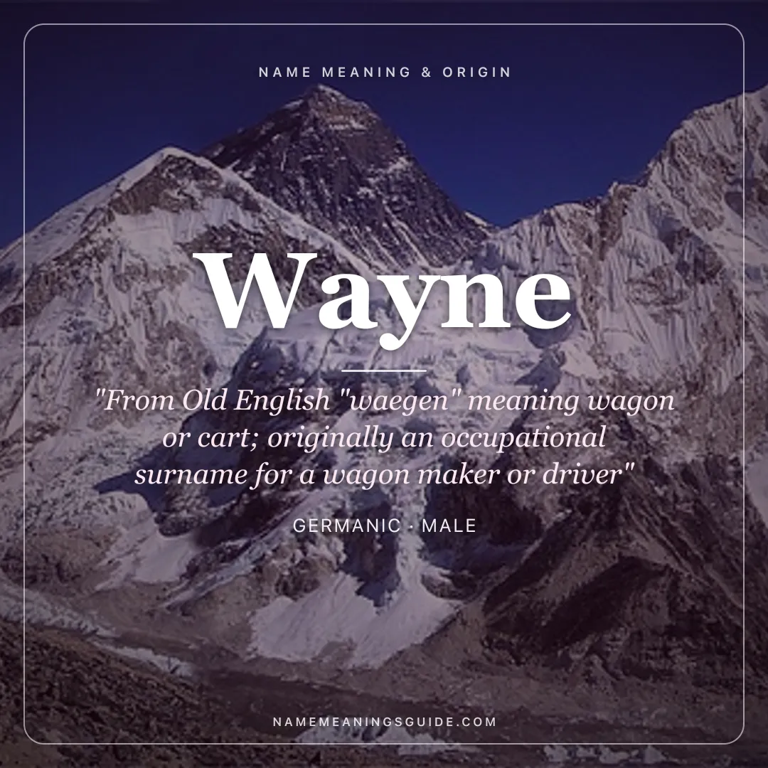 Wayne name meaning "From Old English "waegen" meaning wagon or cart; originally an occupational surname for a wagon maker or driver" - Germanic male name share card | NameMeanings