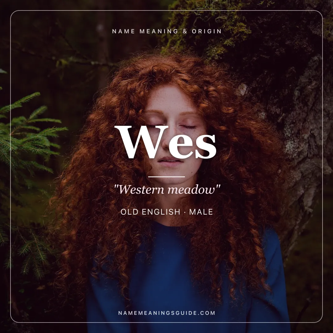 Wes name meaning "Western meadow" - Old English male name share card | NameMeanings