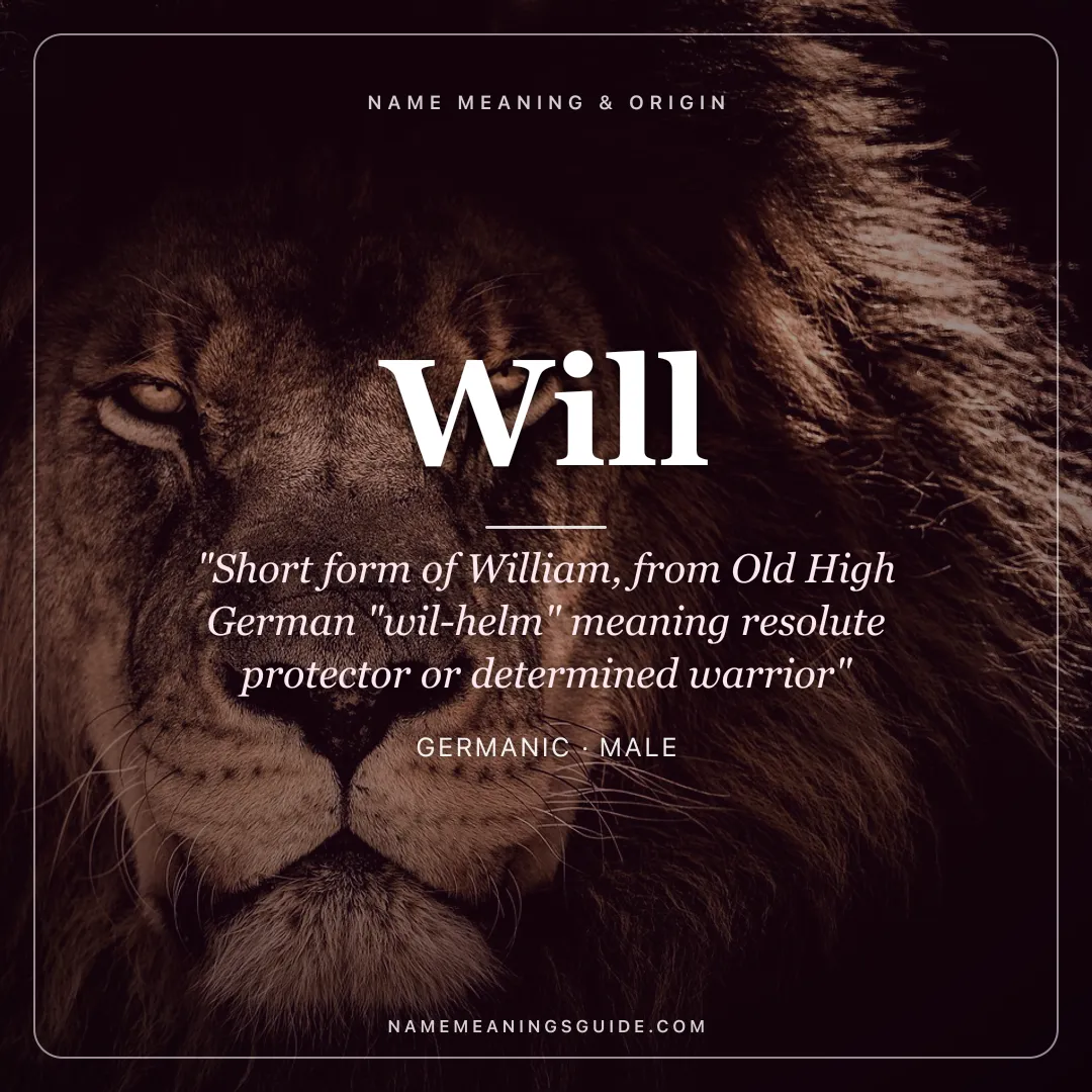 Will name meaning "Short form of William, from Old High German "wil-helm" meaning resolute protector or determined warrior" - Germanic male name share card | NameMeanings