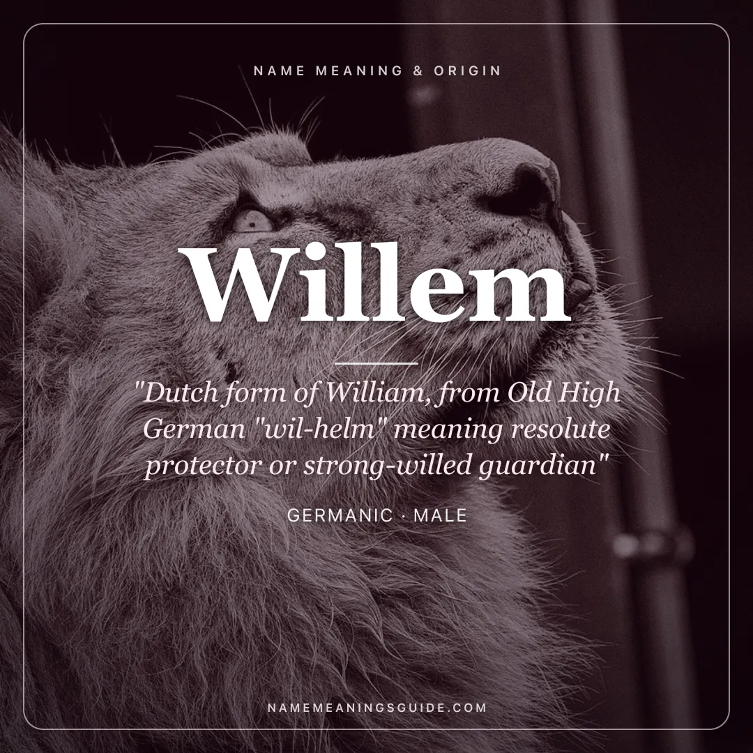 Willem name meaning "Dutch form of William, from Old High German "wil-helm" meaning resolute protector or strong-willed guardian" - Germanic male name share card | NameMeanings