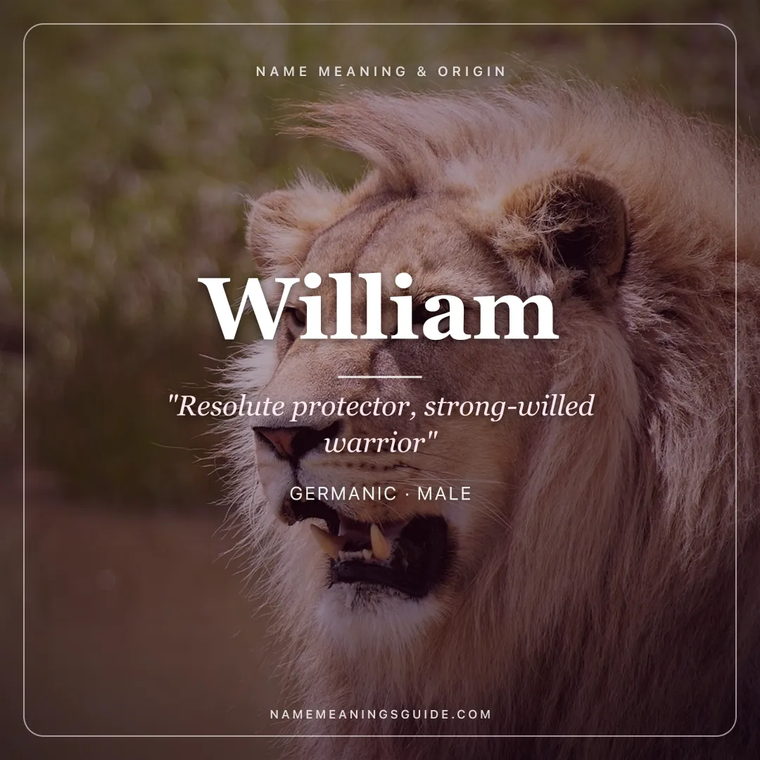 William name meaning "Resolute protector, strong-willed warrior" - Germanic, Old French male name share card | NameMeanings