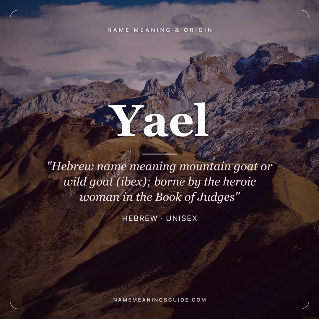 Yael name meaning "Hebrew name meaning mountain goat or wild goat (ibex); borne by the heroic woman in the Book of Judges" - Hebrew unisex name share card | NameMeanings