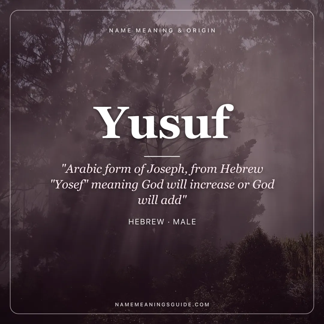 Yusuf name meaning "Arabic form of Joseph, from Hebrew "Yosef" meaning God will increase or God will add" - Hebrew male name share card | NameMeanings