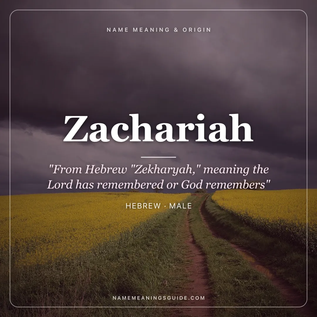 Zachariah name meaning "From Hebrew "Zekharyah," meaning the Lord has remembered or God remembers" - Hebrew male name share card | NameMeanings