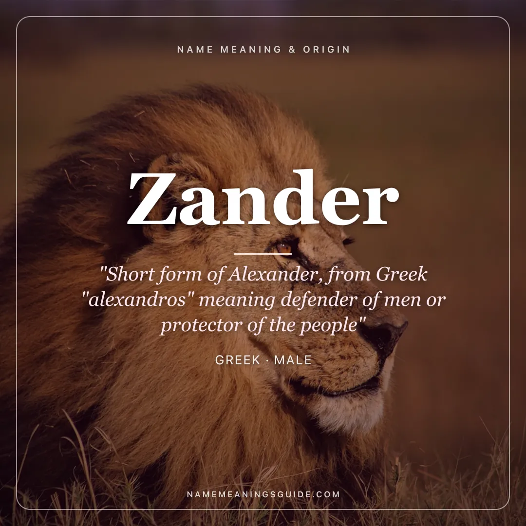Zander name meaning "Short form of Alexander, from Greek "alexandros" meaning defender of men or protector of the people" - Greek male name share card | NameMeanings