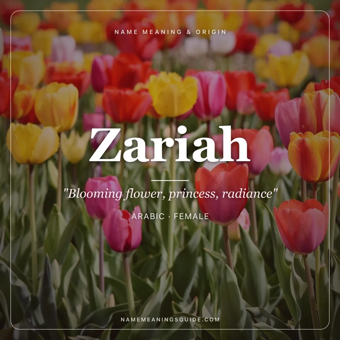 Zariah name meaning "Blooming flower, princess, radiance" - Arabic, Hebrew female name share card | NameMeanings