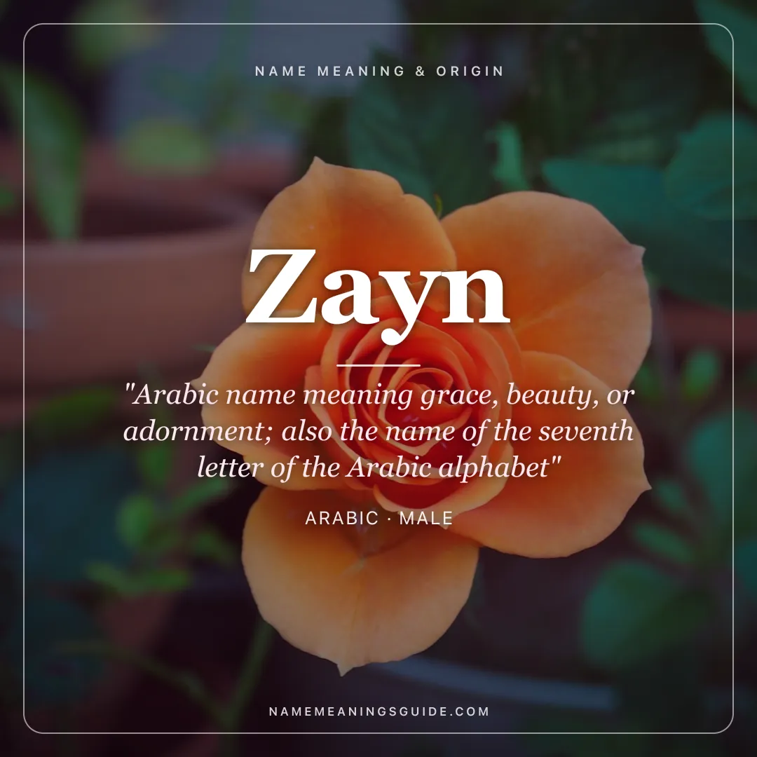 Zayn name meaning "Arabic name meaning grace, beauty, or adornment; also the name of the seventh letter of the Arabic alphabet" - Arabic male name share card | NameMeanings