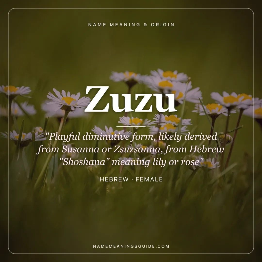 Zuzu name meaning "Playful diminutive form, likely derived from Susanna or Zsuzsanna, from Hebrew "Shoshana" meaning lily or rose" - Hebrew female name share card | NameMeanings